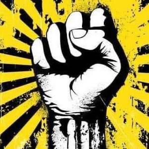 Meet your Posher, Misty